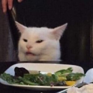 Meet your Posher, Ellie